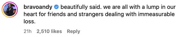 Comment from user &quot;bravoandy&quot;: &quot;Beautifully said. We are all with a lump in our heart for friends and strangers dealing with immeasurable loss.&quot;