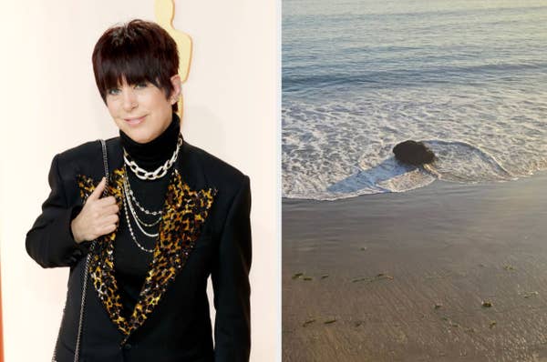 Left: Person in a black and leopard print blazer, layered necklaces. Right: Rock on the beach with waves