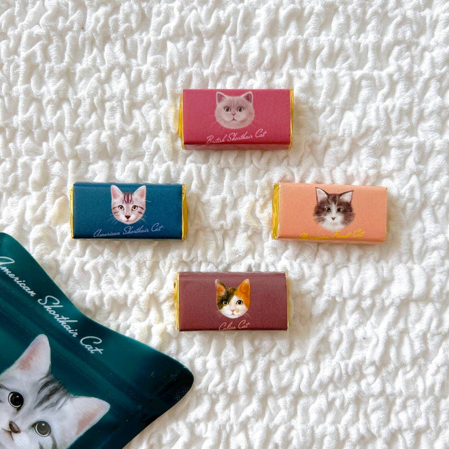 カルディ】思わず全種類買っちゃった…！278円の「猫ちゃんチョコ袋 