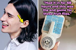 Left: A person wearing clear loop earplugs. Right: Fruit fly trap with flies caught; text: "Had it in for 48 hours and this was the end game for these fruit flies".
