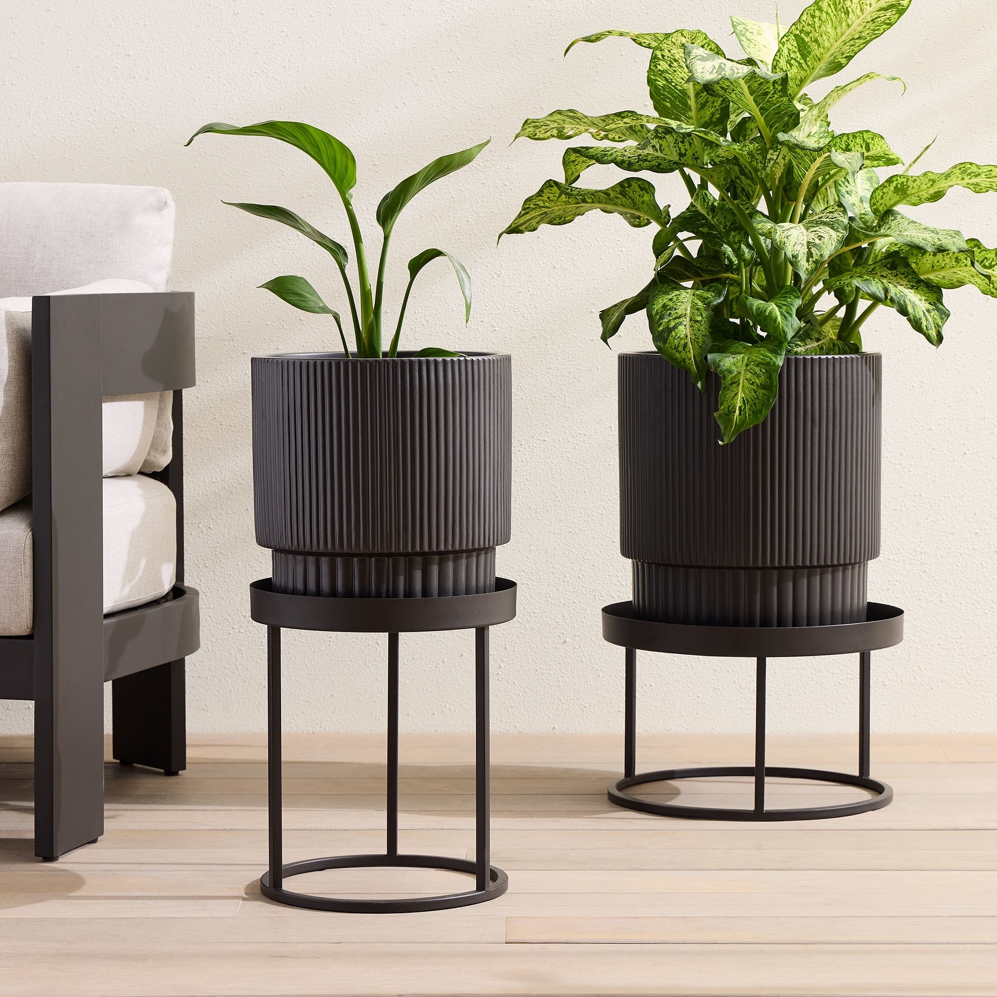 Two indoor plants in ribbed planters on black stands, placed on a wooden floor next to a beige couch