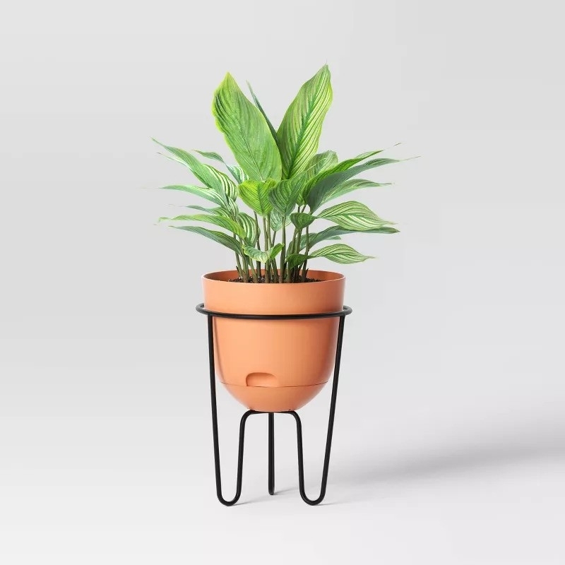A potted plant with lush green leaves in a modern terracotta pot, elevated by a black metal stand, set against a plain background