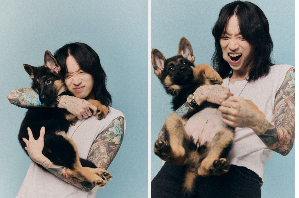 Person with tattooed arms holding a playful German Shepherd puppy against a light background, showing joy and affection