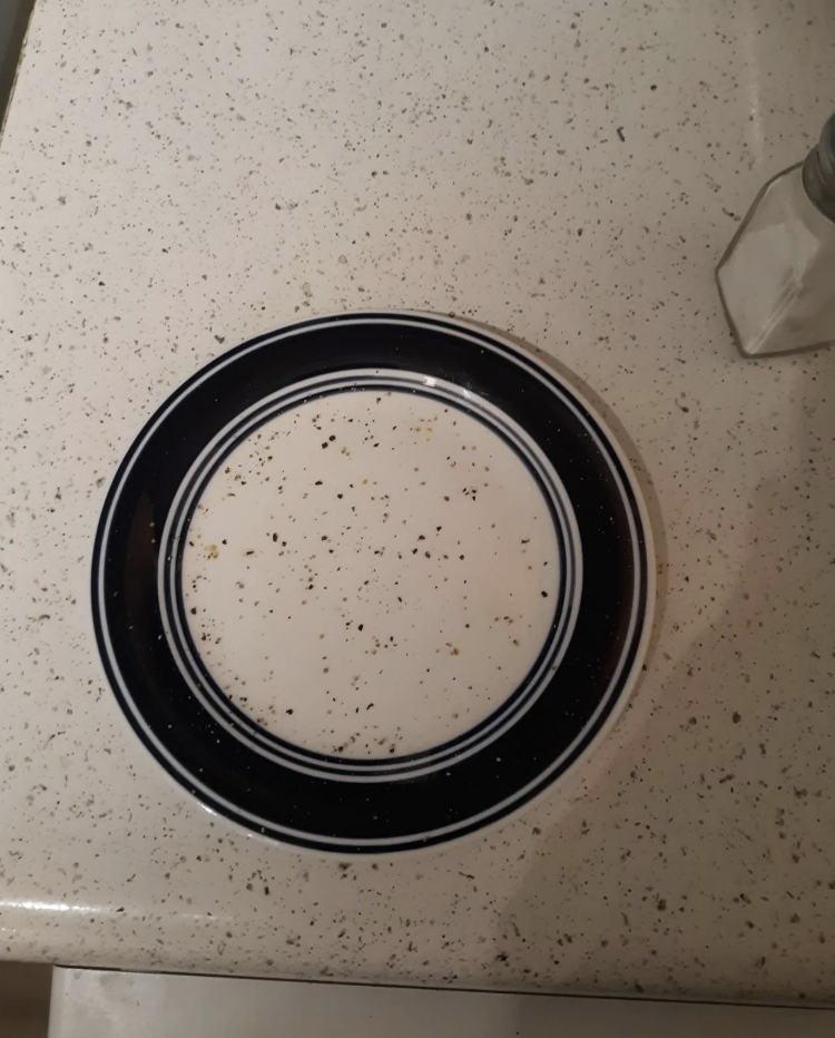 An bare  sheet  with a heavy   bordered rim connected  a speckled countertop. A brackish  shaker is disposable   successful  the corner