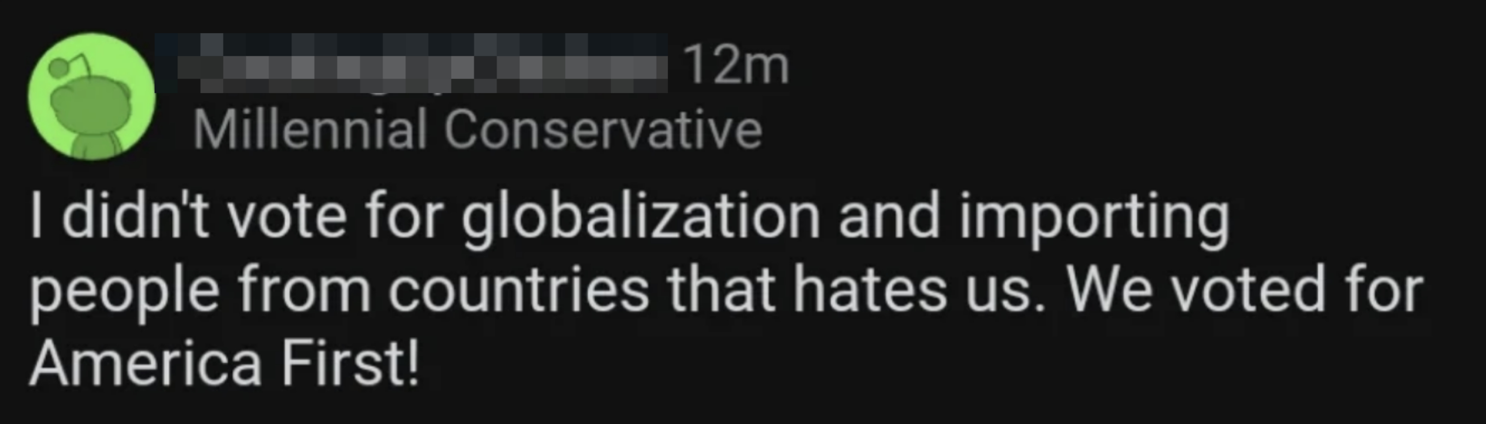 Comment on globalization: &quot;I didn&#x27;t vote for globalization and importing people from countries that hates us. We voted for America First!&quot;