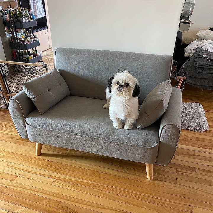33 Best Pet-Friendly Couches To Buy In 2025