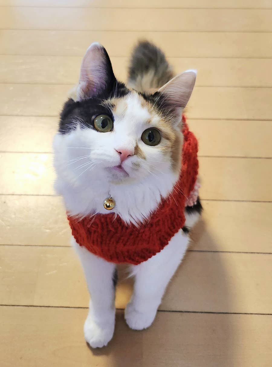美しかわいすぎて涙出そう」「嘘みたいにかわいい」⇒お母さんの手編み 
