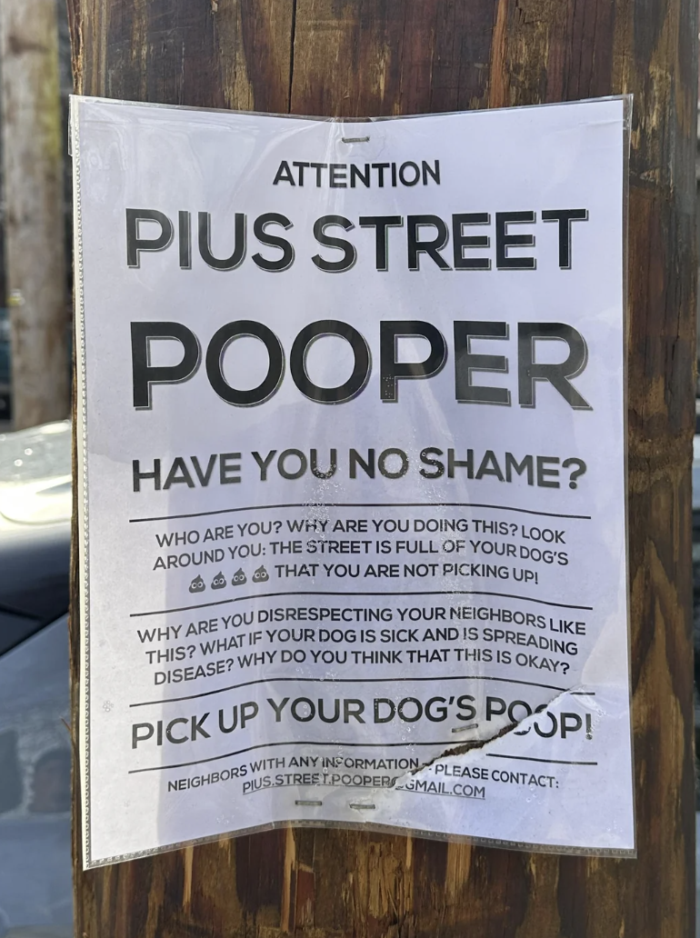 Flyer addressing deficiency  of canine  discarded  cleanup connected  Pius Street, urging residents to prime   up   aft  their pets and debar  spreading disease