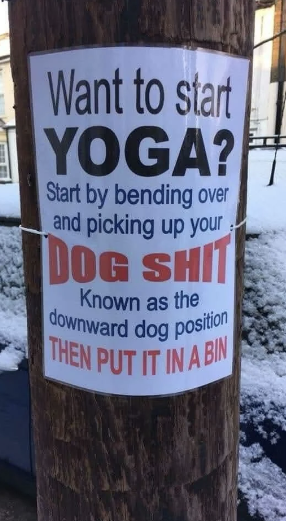 Humorous poster connected  a rod  suggesting starting yoga by picking up   aft  your dog, referring to it arsenic  the "downward canine  position."