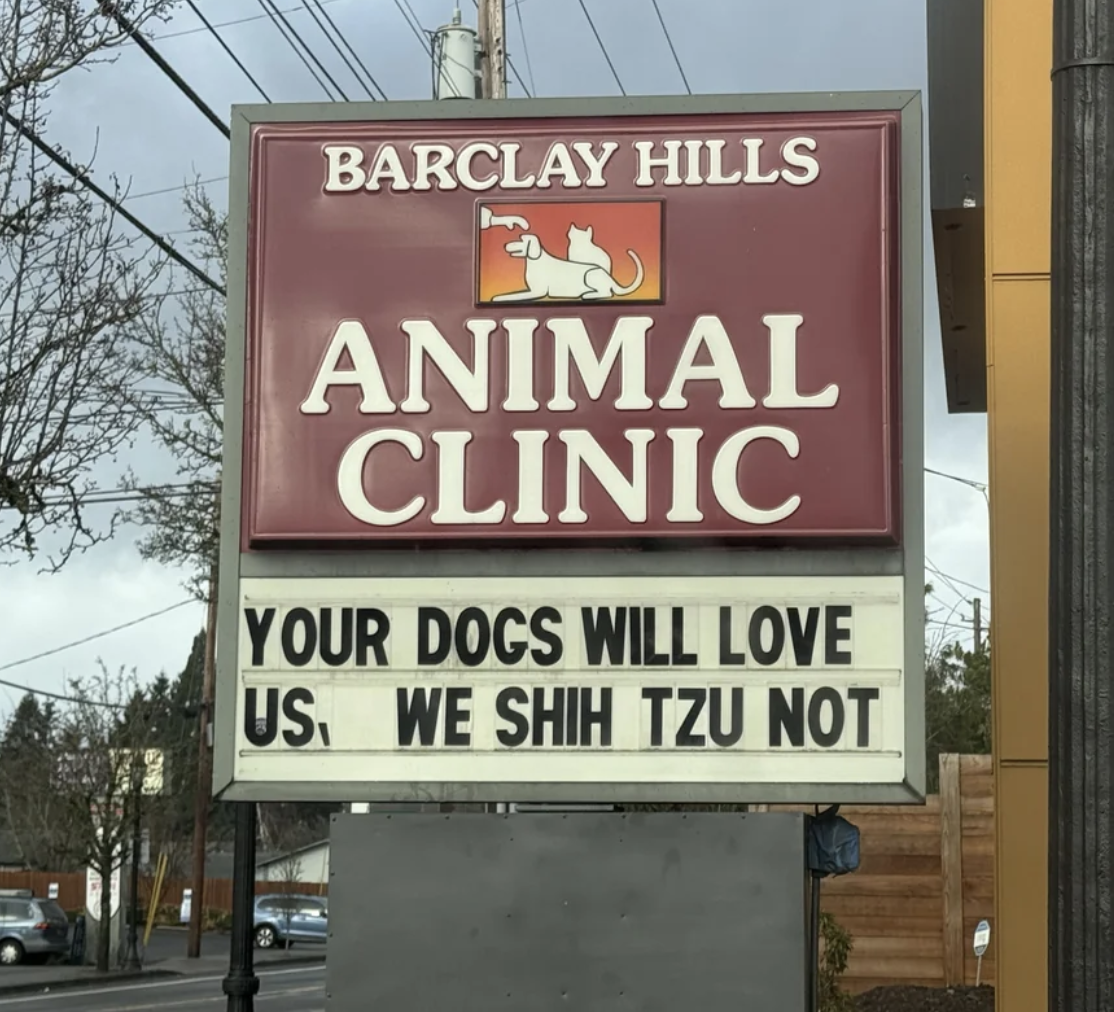  "Your dogs volition  emotion  us. We shih tzu not"