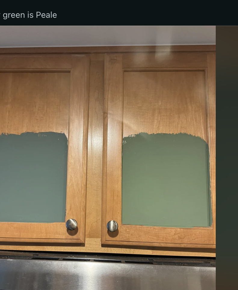 Reddit post asking, 'Which color should I paint my kitchen cabinets?' with a photo showing two paint samples on the cabinet doors