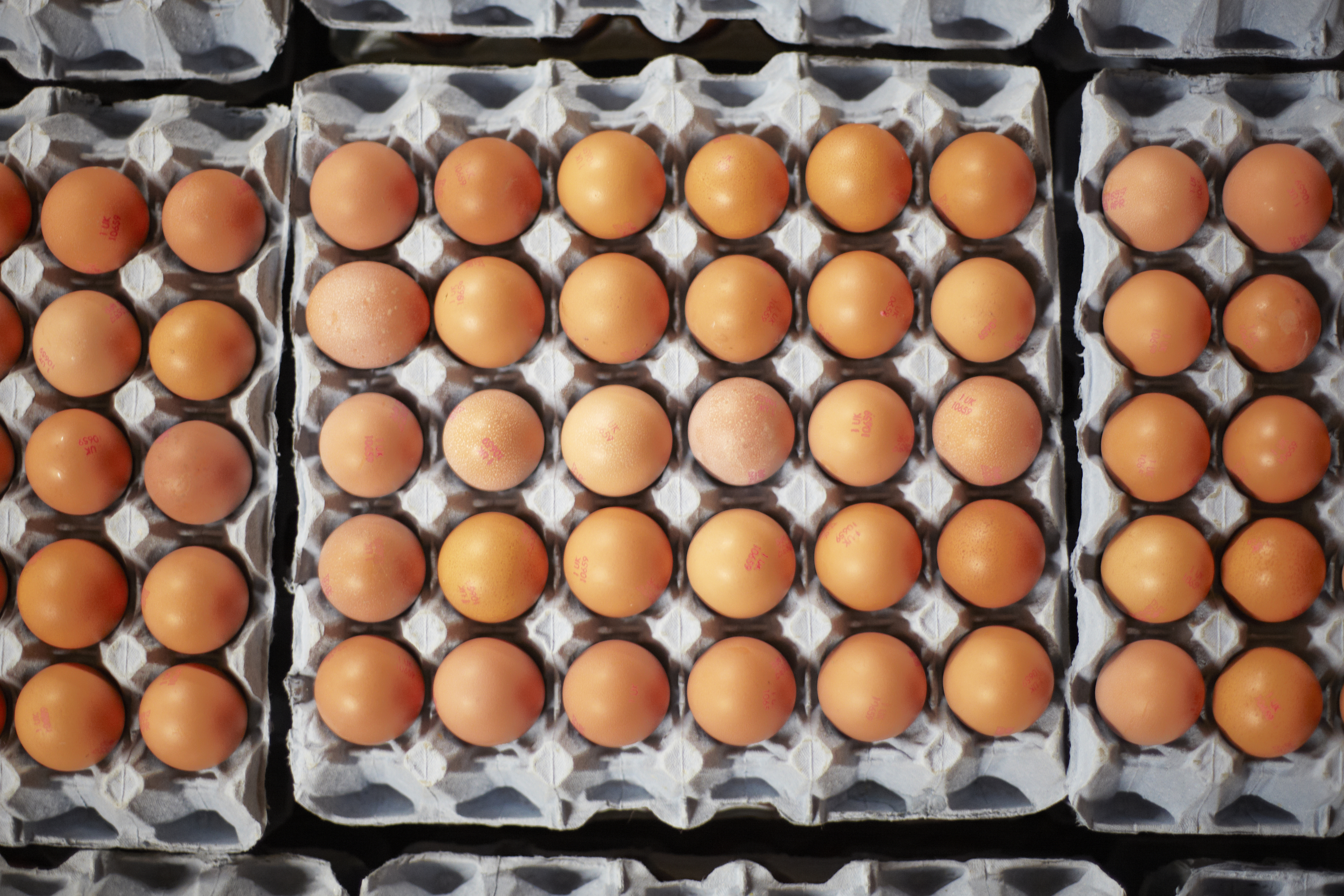 Eggs arranged in cartons, seen from above, each containing 30 brown eggs