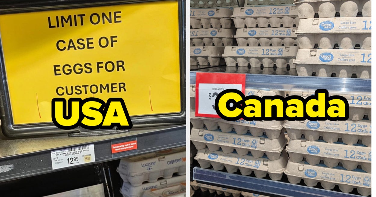 People Cannot Believe The Price Of Eggs In Canada Compared To The US Yahoo Voices People Cannot Believe The Price Of Eggs In Canada Compared To The US Yahoo Voices