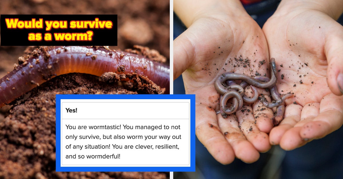 Think You Can Worm Your Way Out Of Any Situation? Let’s See If You’d ...