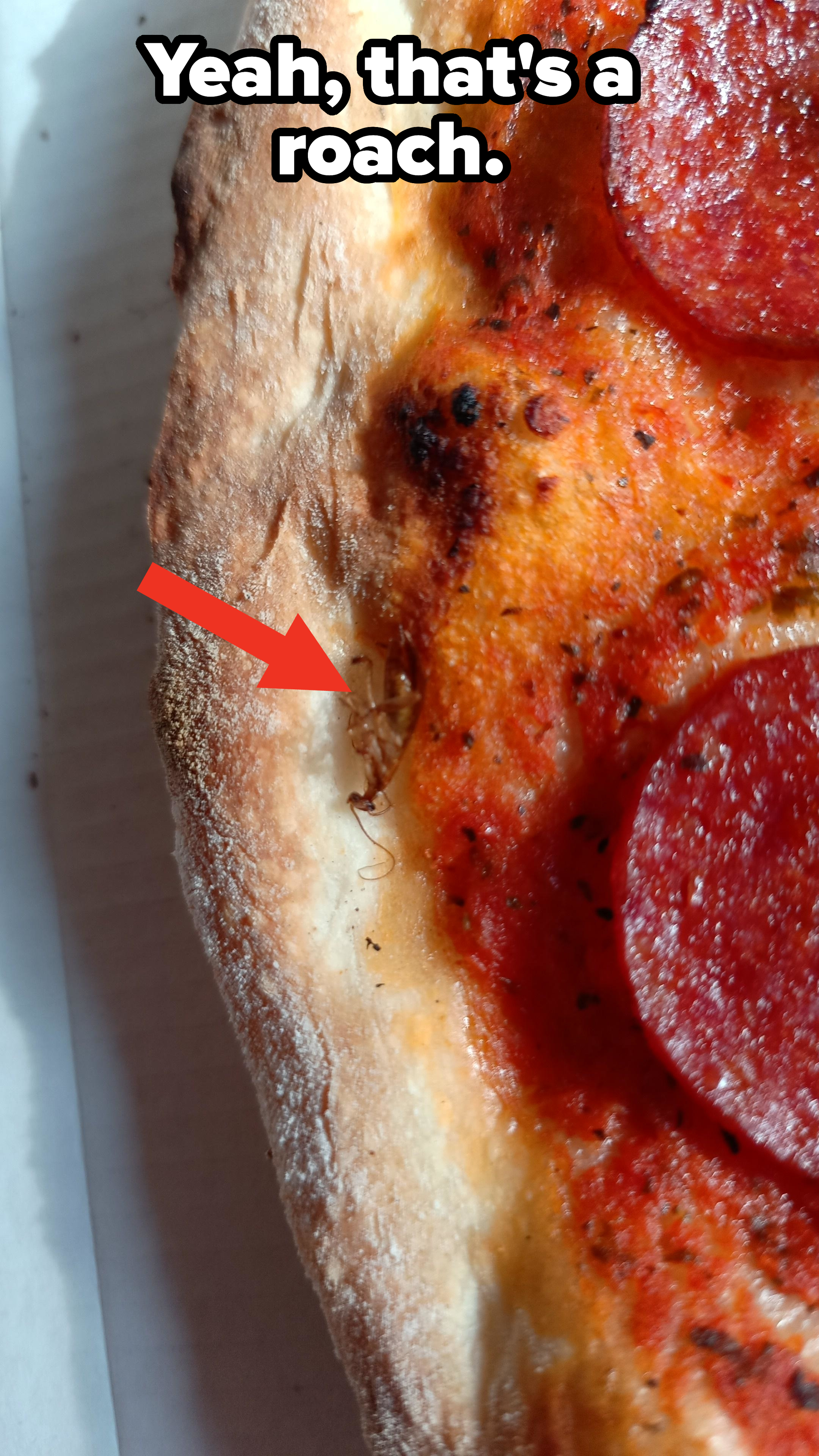 Close-up of a pepperoni pizza slice showing crust, sauce, and pepperoni slices