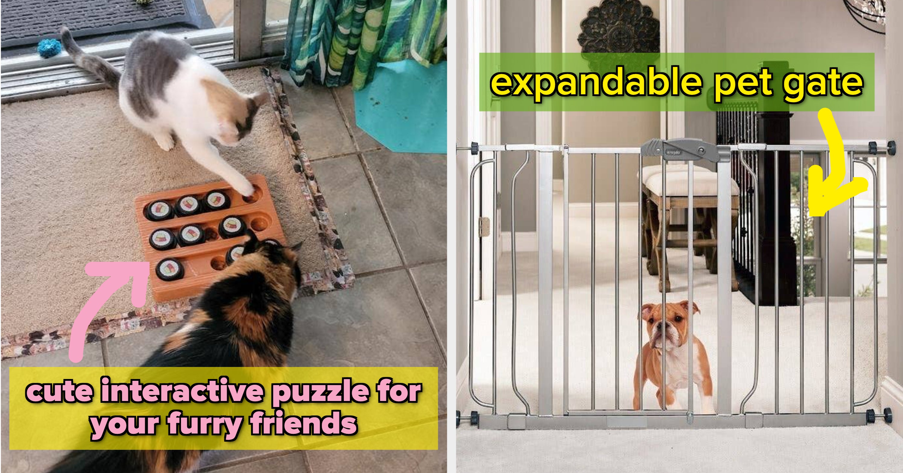 25 Helpful Chewy Things For Multi-Pet Households