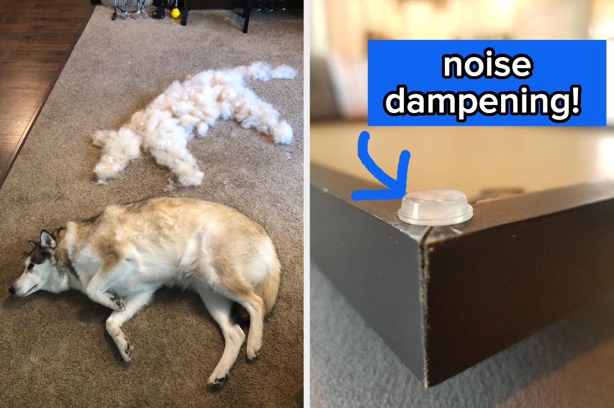 32 Products To Solve All Your Annoying, Loud, Ugly, And/Or Furry Home Issues