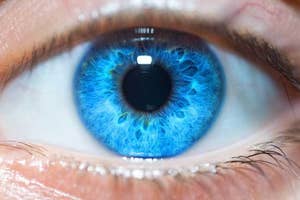 Close-up of a human eye with detailed iris patterns and visible eyelashes