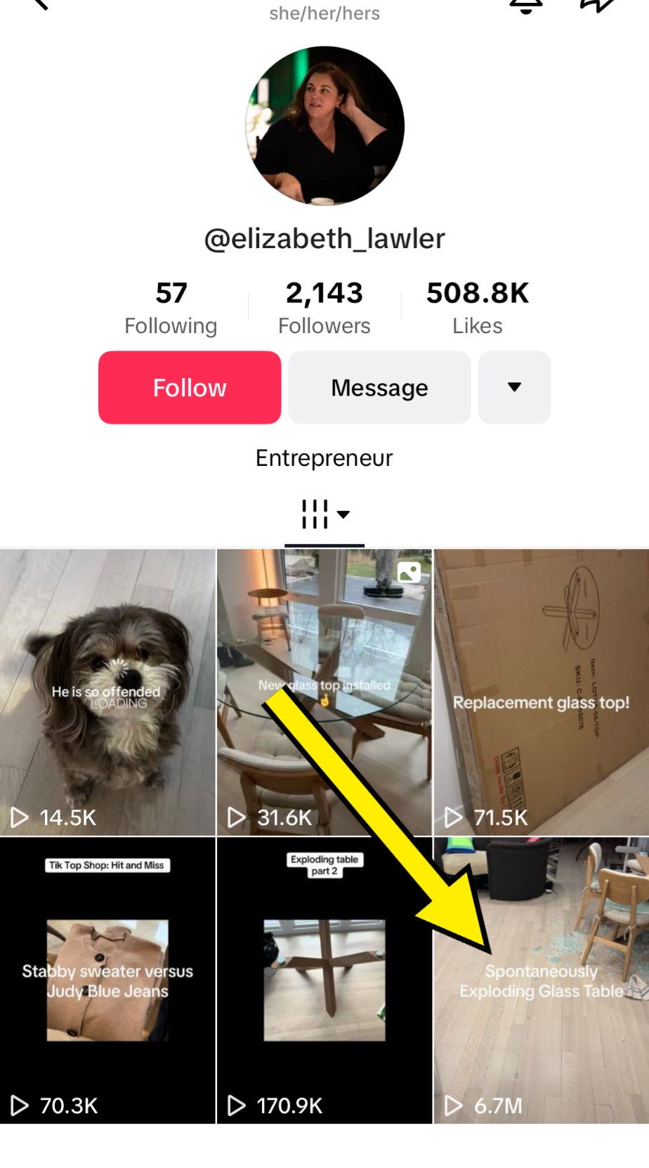 Social media profile of @elizabeth_lawler, featuring various videos, including a pet and home repair content. Arrow points to video with 6.7 million views about an exploded glass table