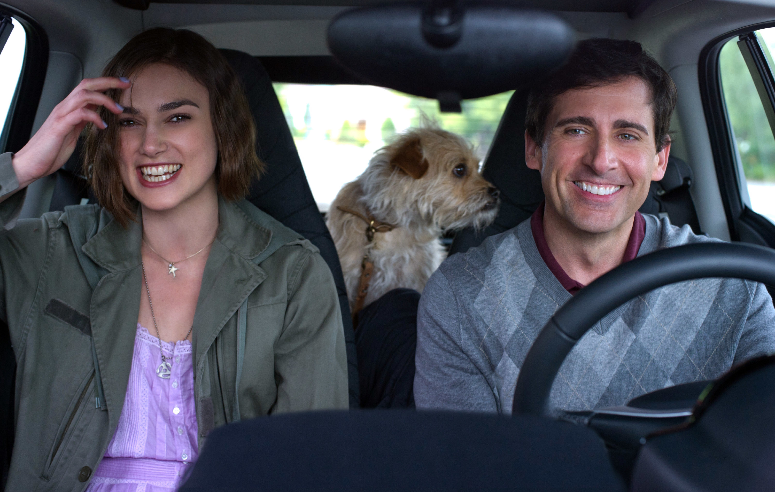 Steve Carrell and Keira Knightley smile wide in a car with a dog