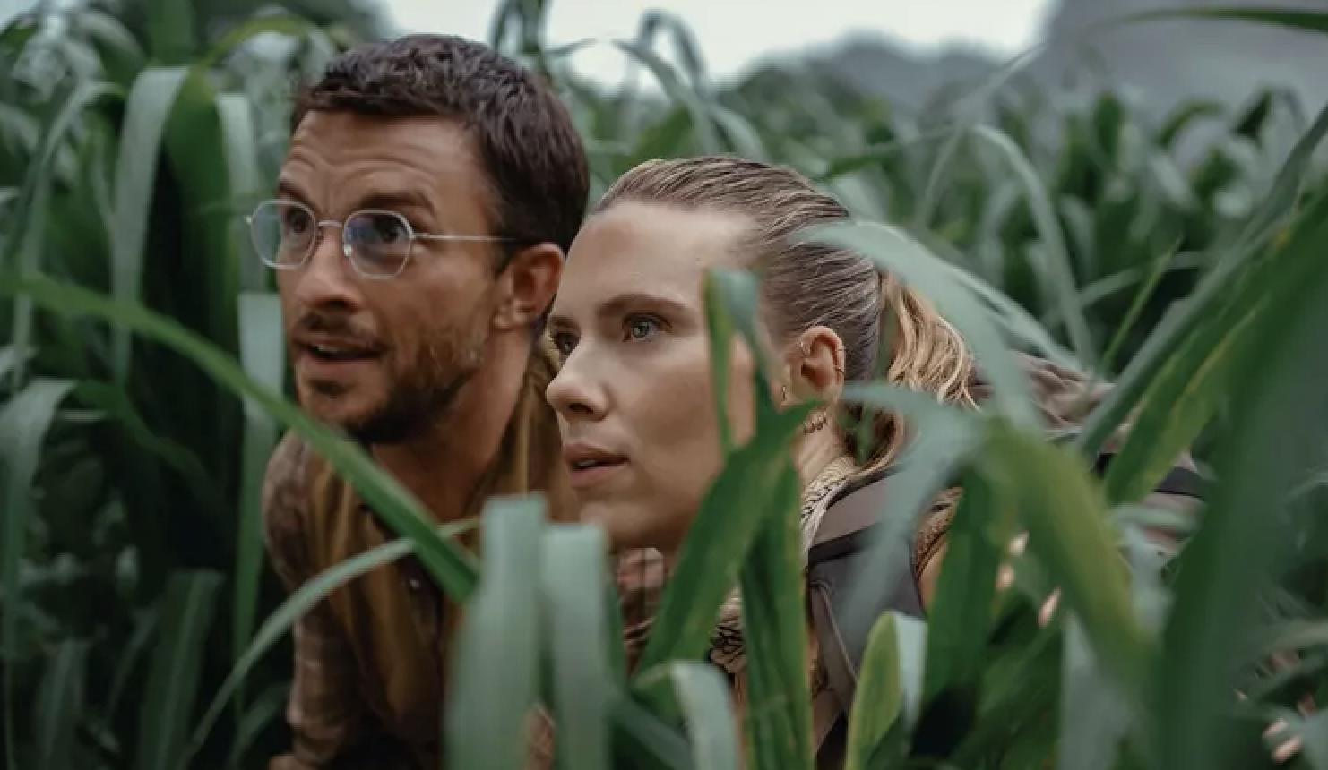 Two people crouched among tall plants, appearing focused and alert. They seem to be observing something intently