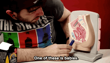 Person pointing at a model of female anatomy with text overlay: &quot;One of these is babies.&quot;