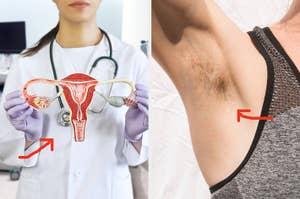 Doctor holding a uterus model, and a close-up of an armpit with hair. Red arrows point to both subjects