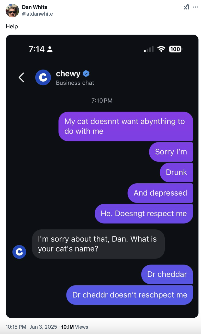 Screenshot of a chat where a user tells Chewy support about their cat, Dr. Cheddar, not respecting them because they are drunk and depressed