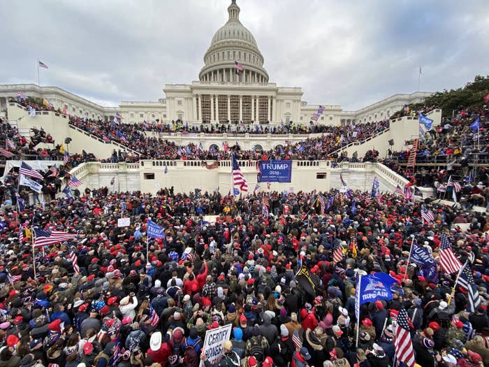 Crowd gathered outside the U.S. Capitol with flags and signs, possibly during a protest or rally. The Capitol building is prominently visible