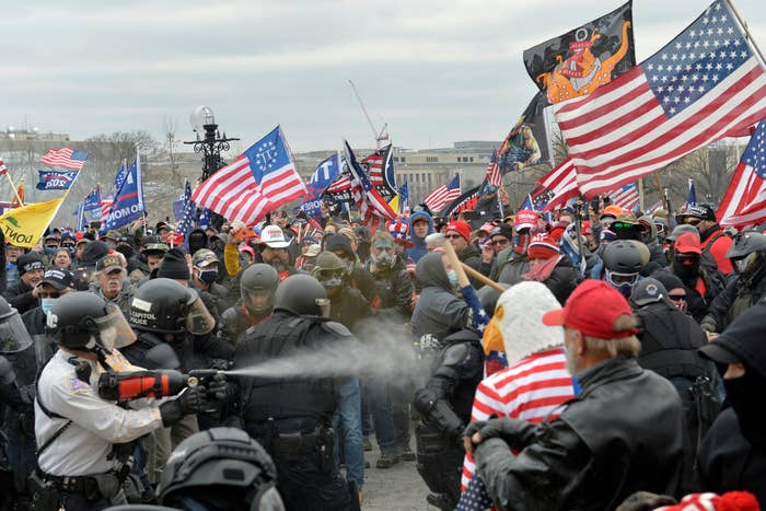 Crowd of protestors and law enforcement face off; officer uses pepper spray. American flags visible
