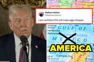 A person speaks at a podium. A tweet overlay reads, "I am confident this will make eggs cheaper." A map highlights "America" over the Gulf of Mexico