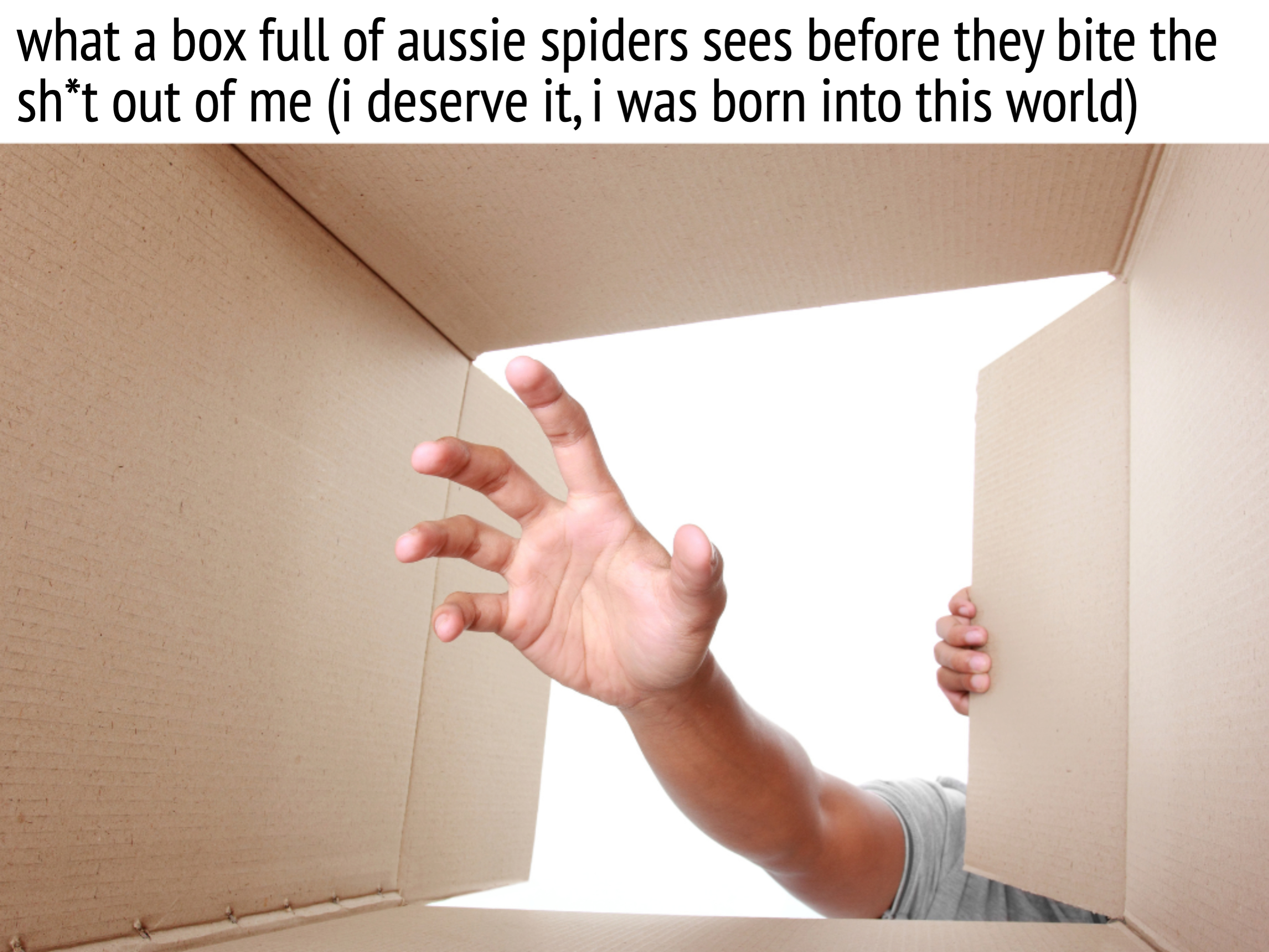 A person&#x27;s hand reaches out from inside a cardboard box, suggesting escape or mystery