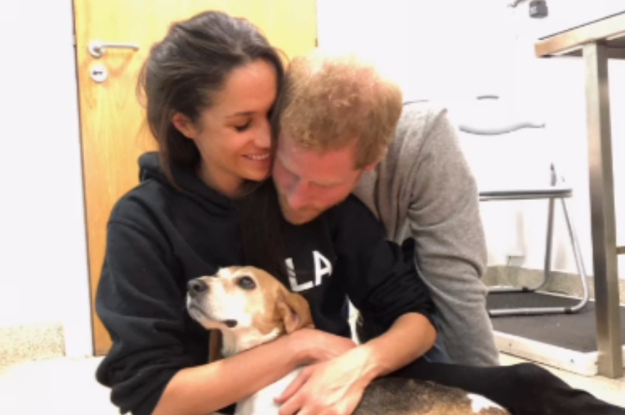 A couple dressed casually, sitting on the floor and affectionately holding a dog