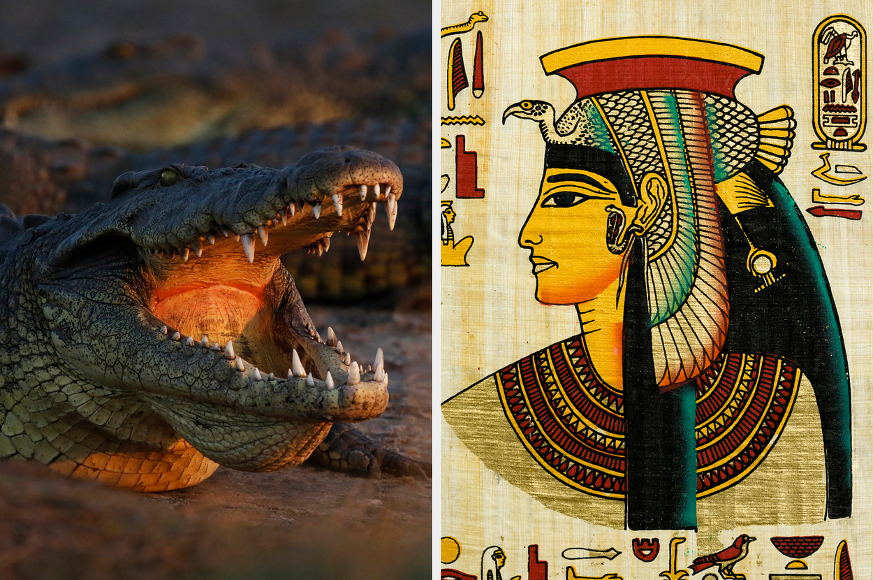 lets play would you rather ancient egypt edition 2 1511 1736354565 0 dblbig