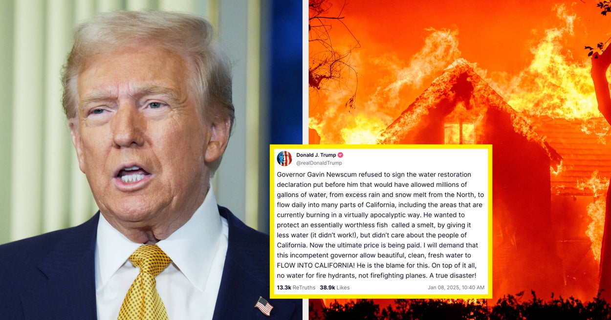 "The Daily Show" Blasted Donald Trump For This 1 Word He Used In His California Fires Response