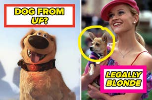 A person holding a beagle puppy indoors. Next to it, a golden retriever wears a football uniform and helmet with a group behind it