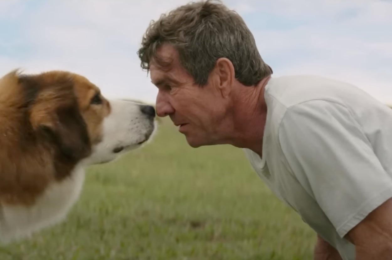 A man and a dog gently touch noses in a grassy field, fostering a sense of connection and affection between them