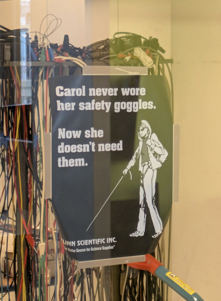  "Carol ne'er  wore her information   goggles. Now she doesn’t request   them." Features cartoon of a idiosyncratic   with a cane and sunglasses