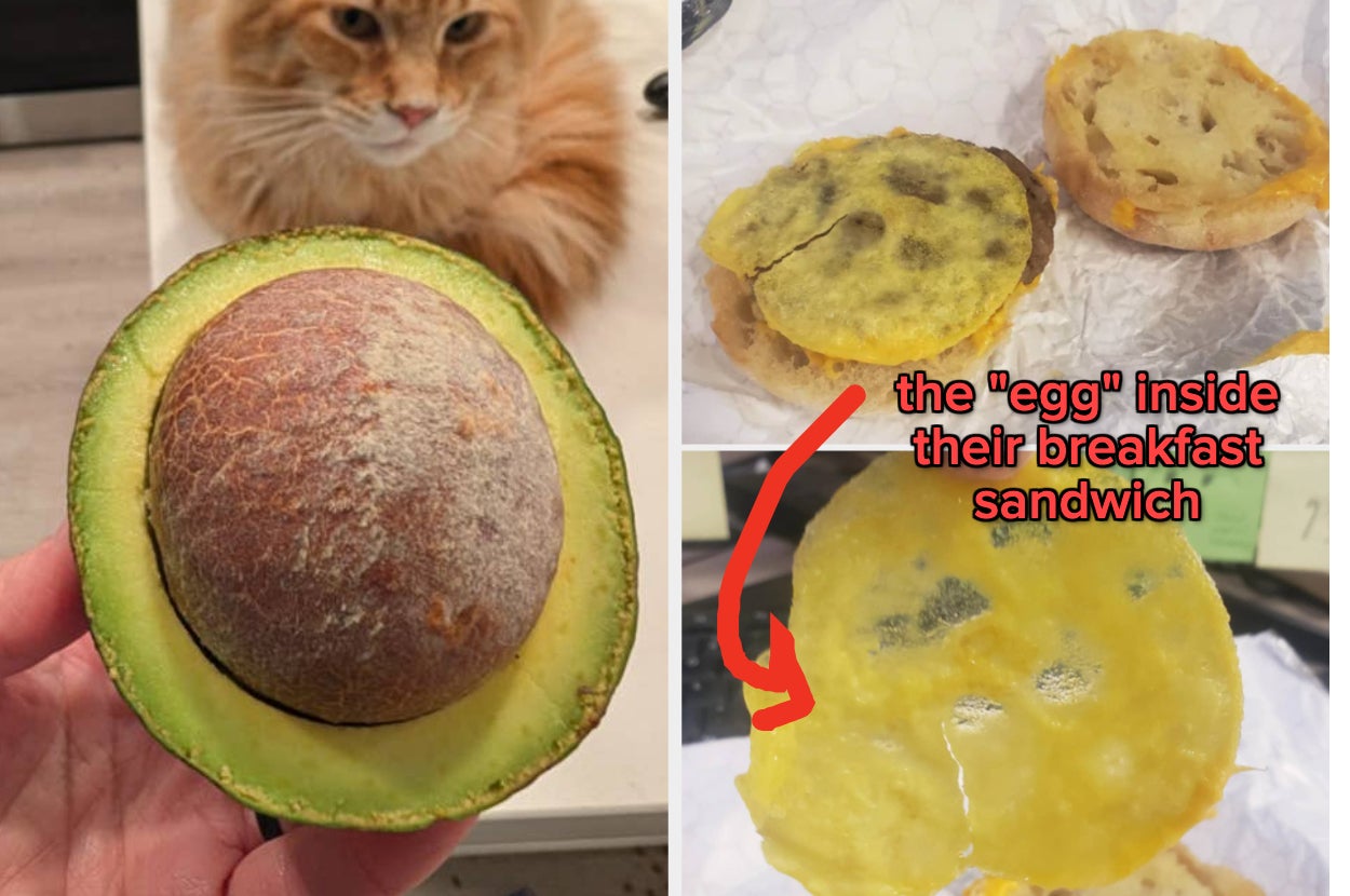 Close-up of a large avocado pit compared to a breakfast sandwich with a moldy egg, humorously highlighting unexpected "egg" discoveries