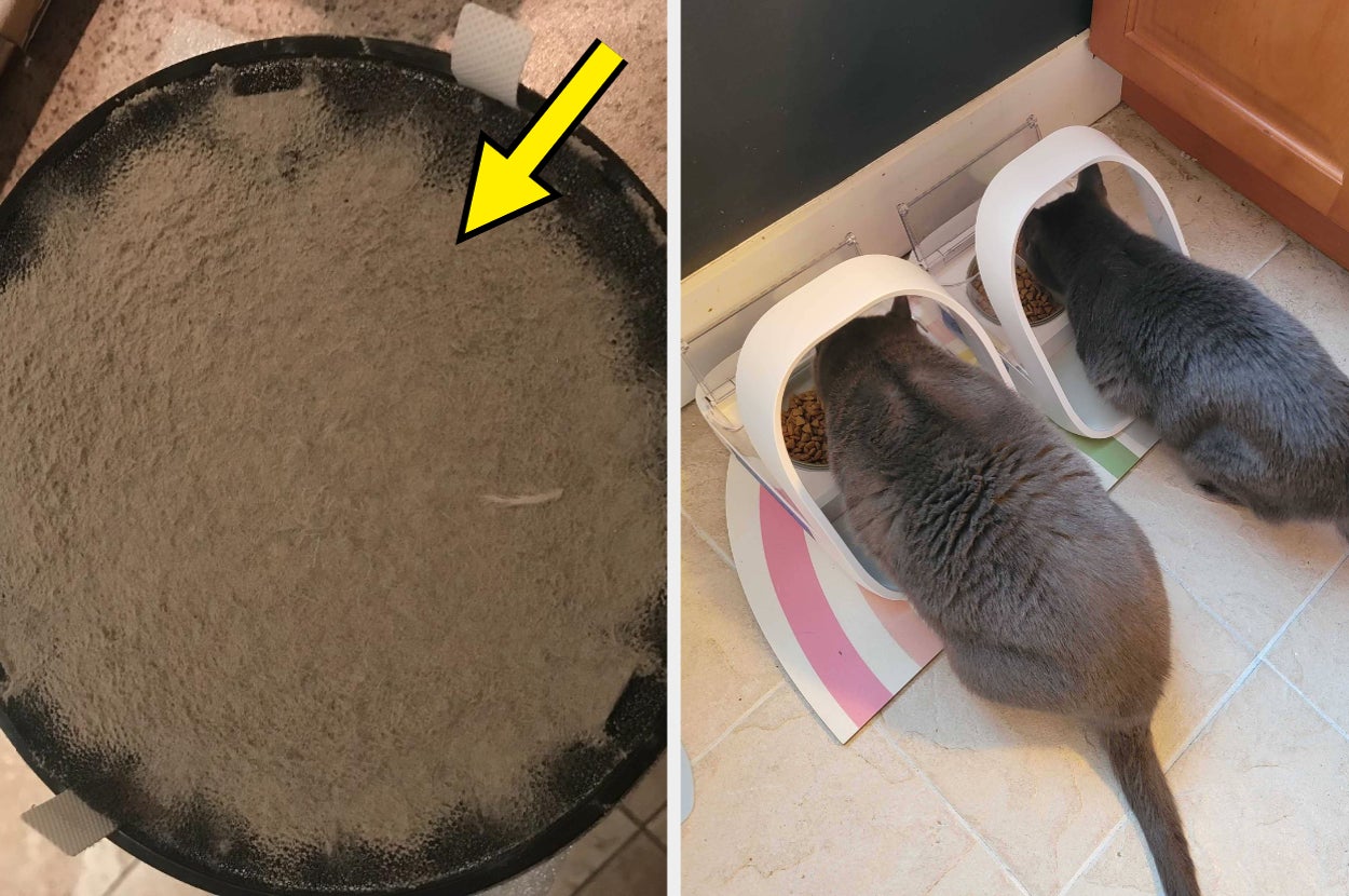 Dusty air purifier filter with arrow pointing to dust; two cats eating from bowls on tiled floor