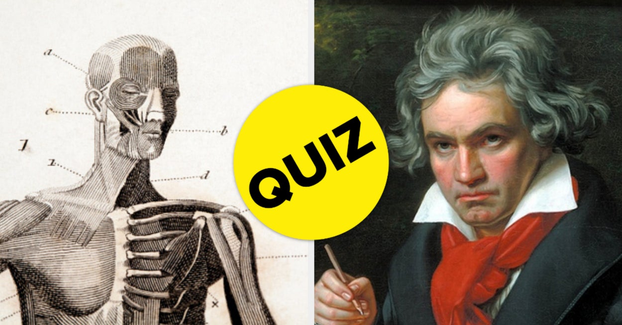 Are You Smarter Than A Third Grader Trivia Quiz Are You Smarter Than A Third Grader Trivia Quiz