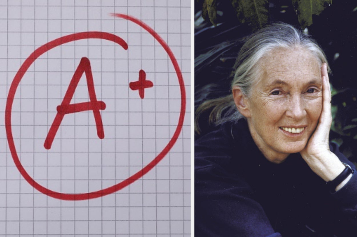 A grid paper with "A+" circled in red next to a portrait of a smiling person with long hair resting their face on their hand