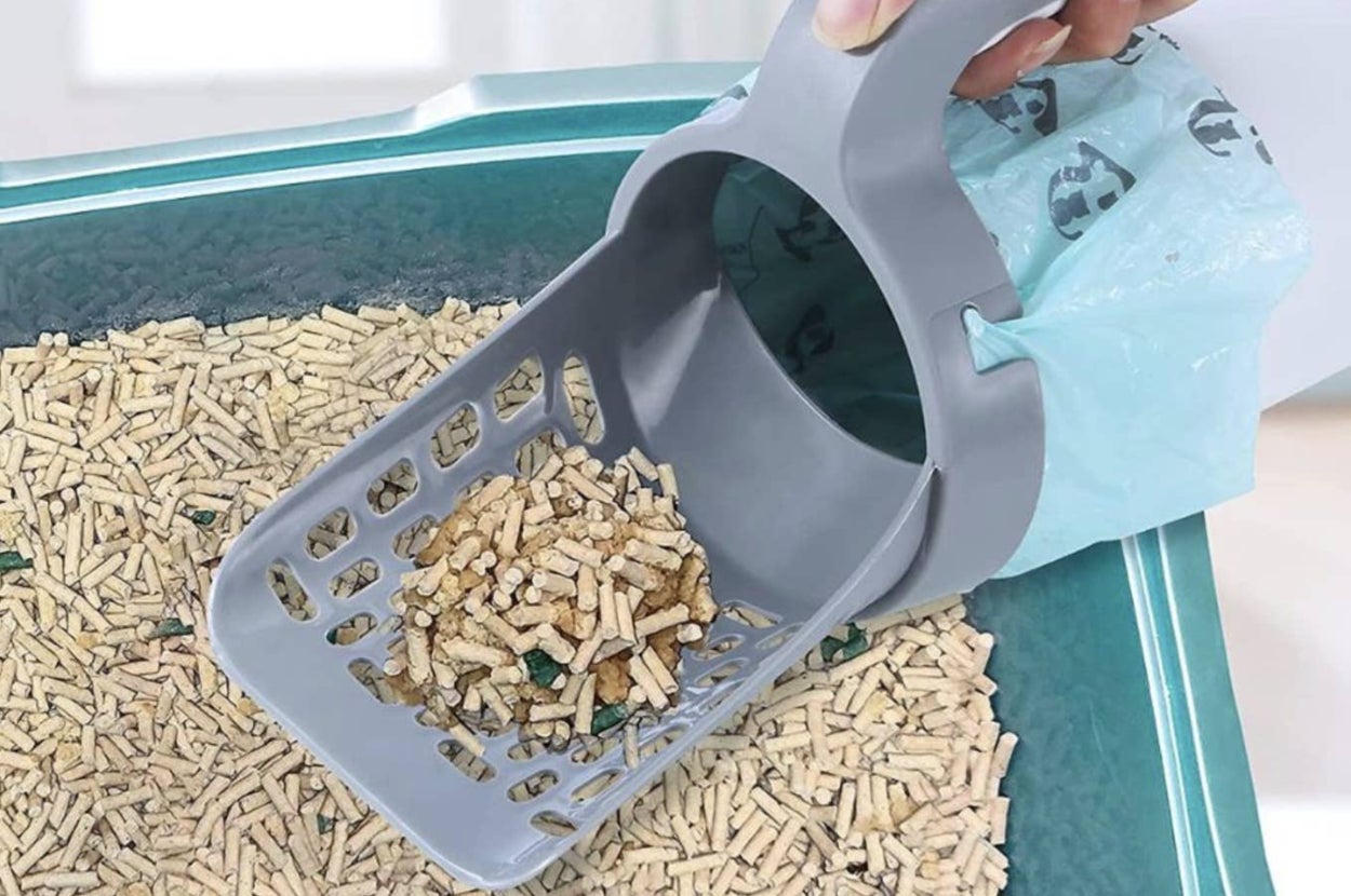 The litter scooper
