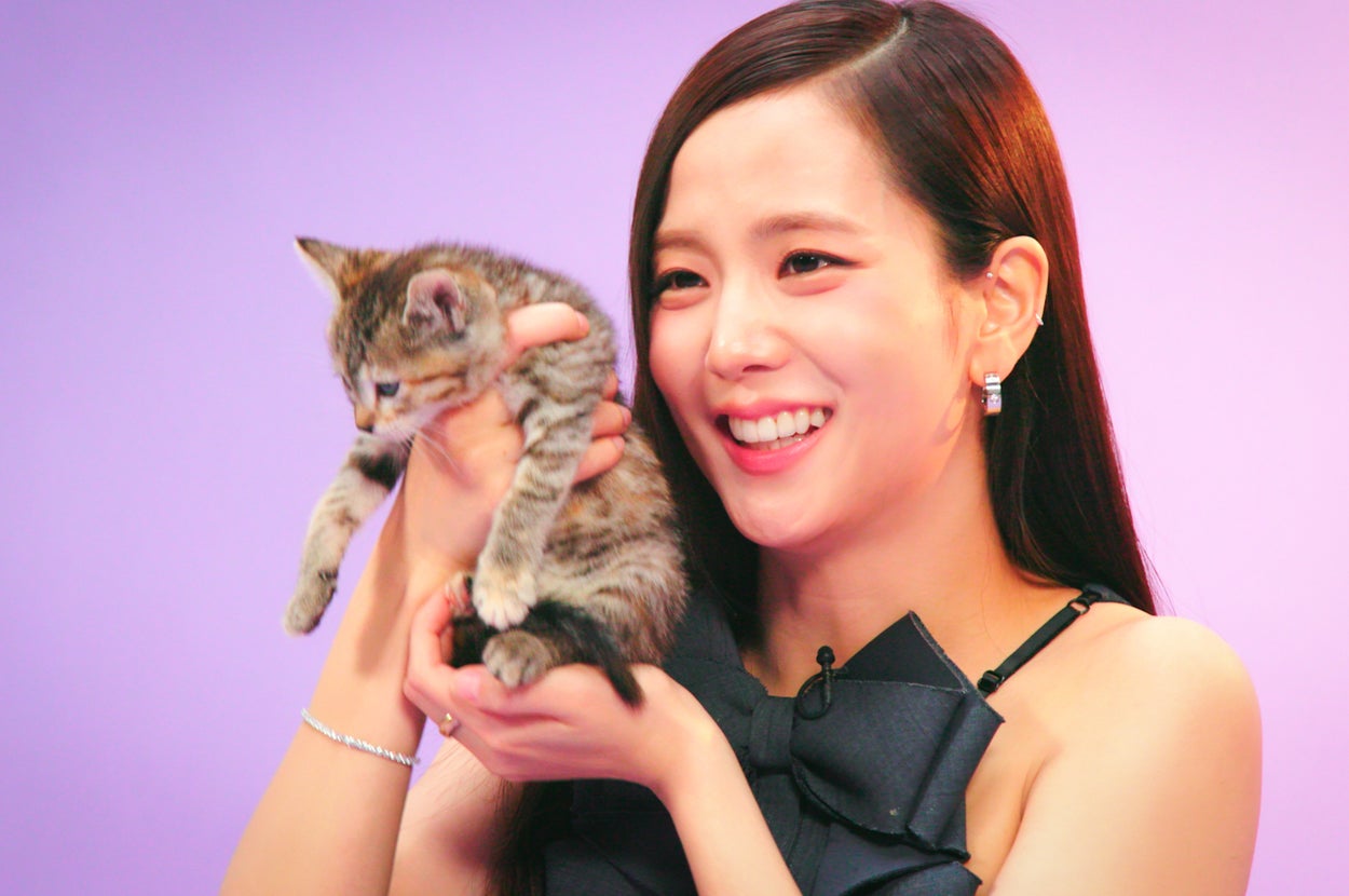 Person smiling while holding a small kitten up to their cheek against a plain background