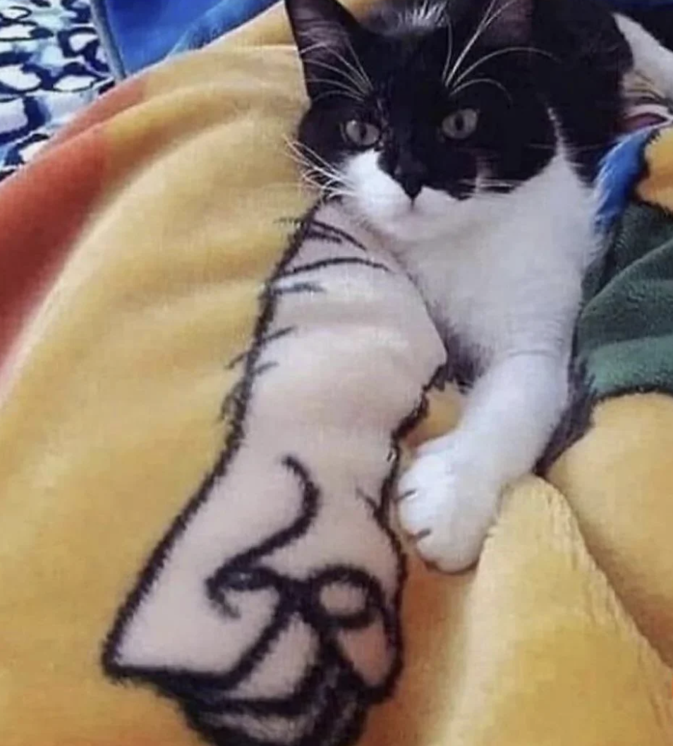 Cat lying on a blanket with a printed hand, humorously appearing to have a muscular arm