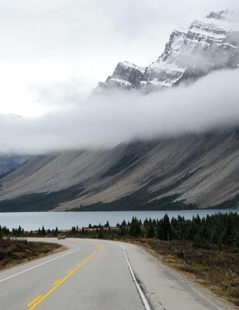 A winding road leads to a misty mountain with a snow-capped peak, surrounded by clouds and flanked by evergreen trees