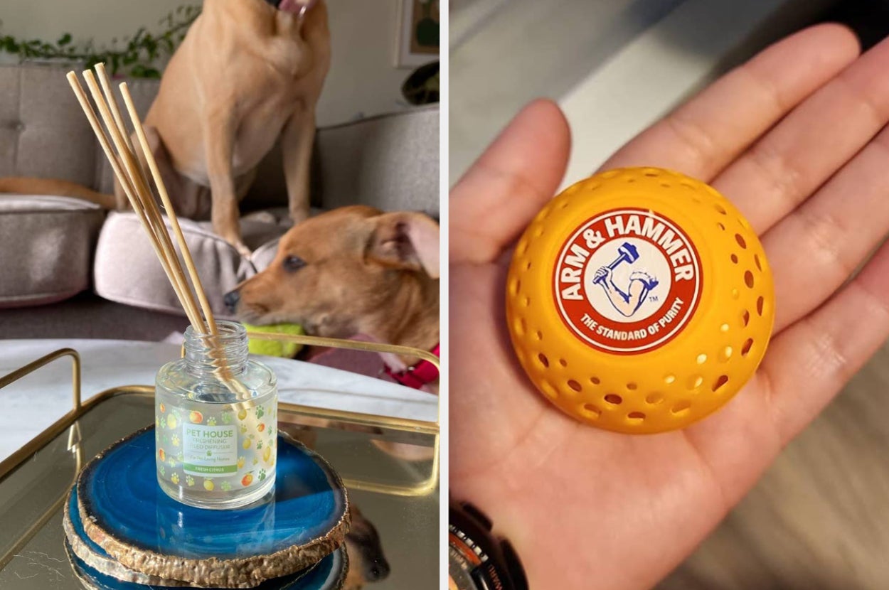 A room fragrance diffuser on a tray and a hand holding an Arm & Hammer pet odor eliminator ball, with a dog on a sofa in the background