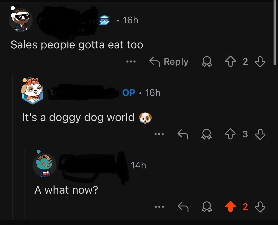 Online conversation with playful correction: "It's a doggy dog world" corrected by another user