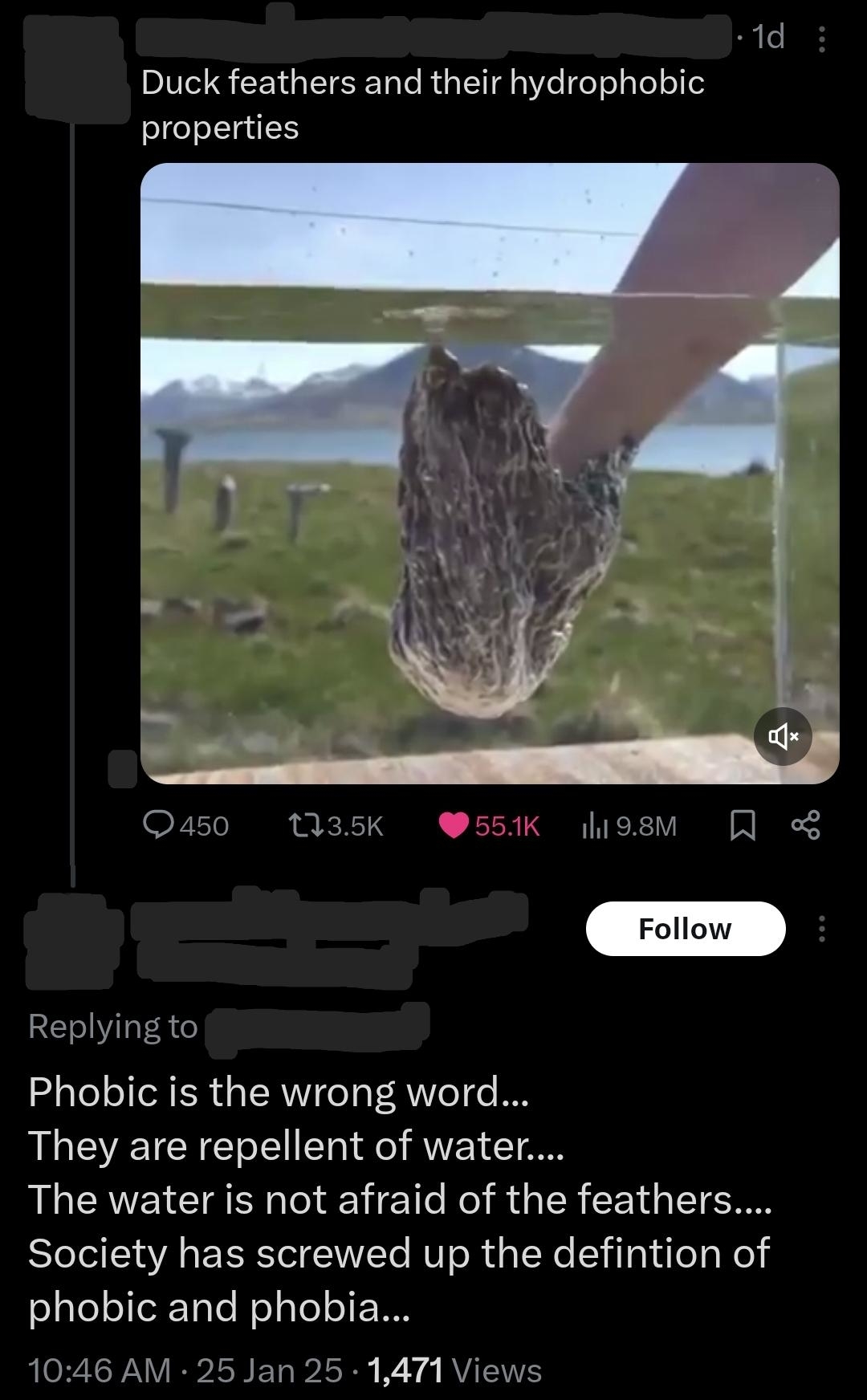The image shows a person holding a duck feather against water, demonstrating its hydrophobic property. A Twitter user comments on incorrect terminology