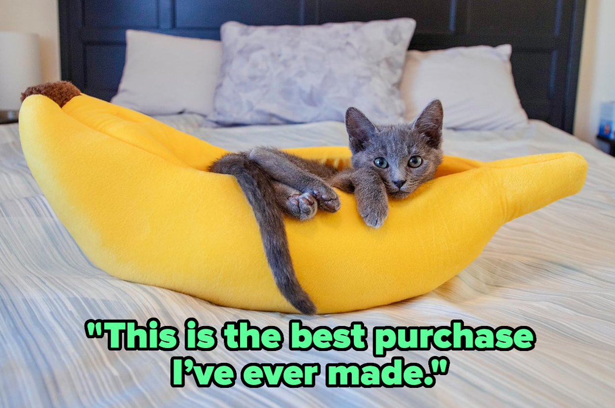 If Your Reason For Existing Is To Make Your Cat Happy, Here Are 43 Things To Buy